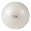 ダンノ DANNO　フィットボール 55cm パールホワイト