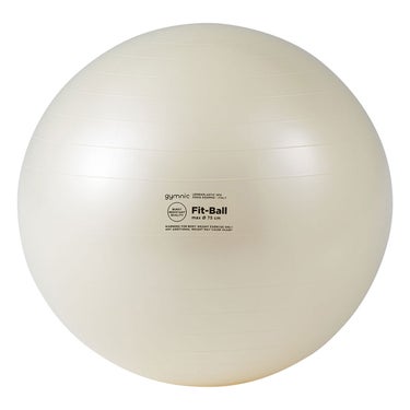 ダンノ DANNO　フィットボール 75cm パールホワイト