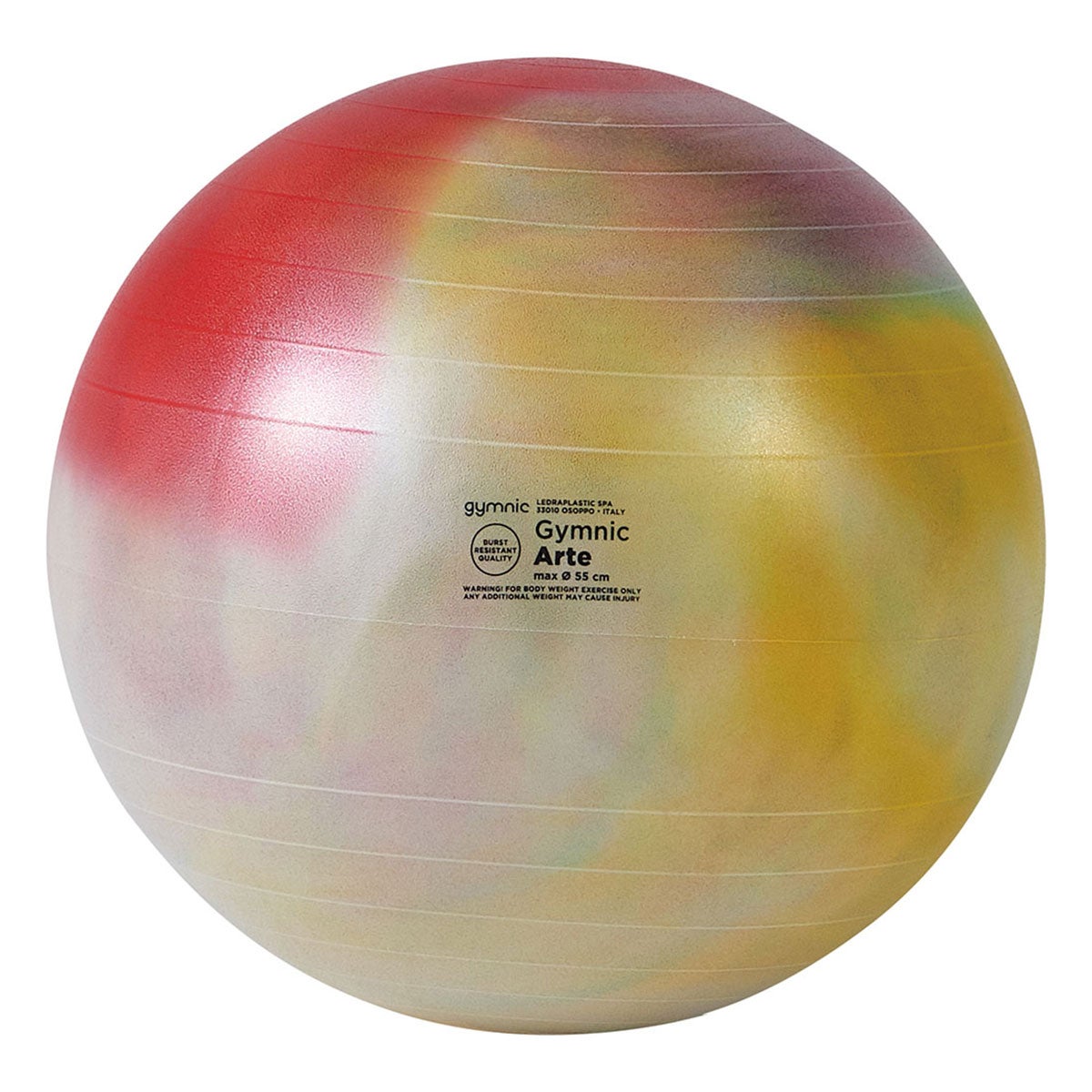 ダンノ DANNO　ギムニクアルテ 55cm レインボー レインボー