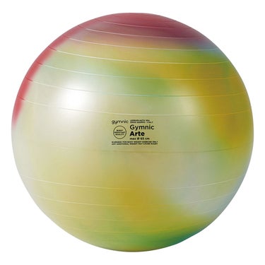 ダンノ DANNO　ギムニクアルテ 65cm レインボー レインボー