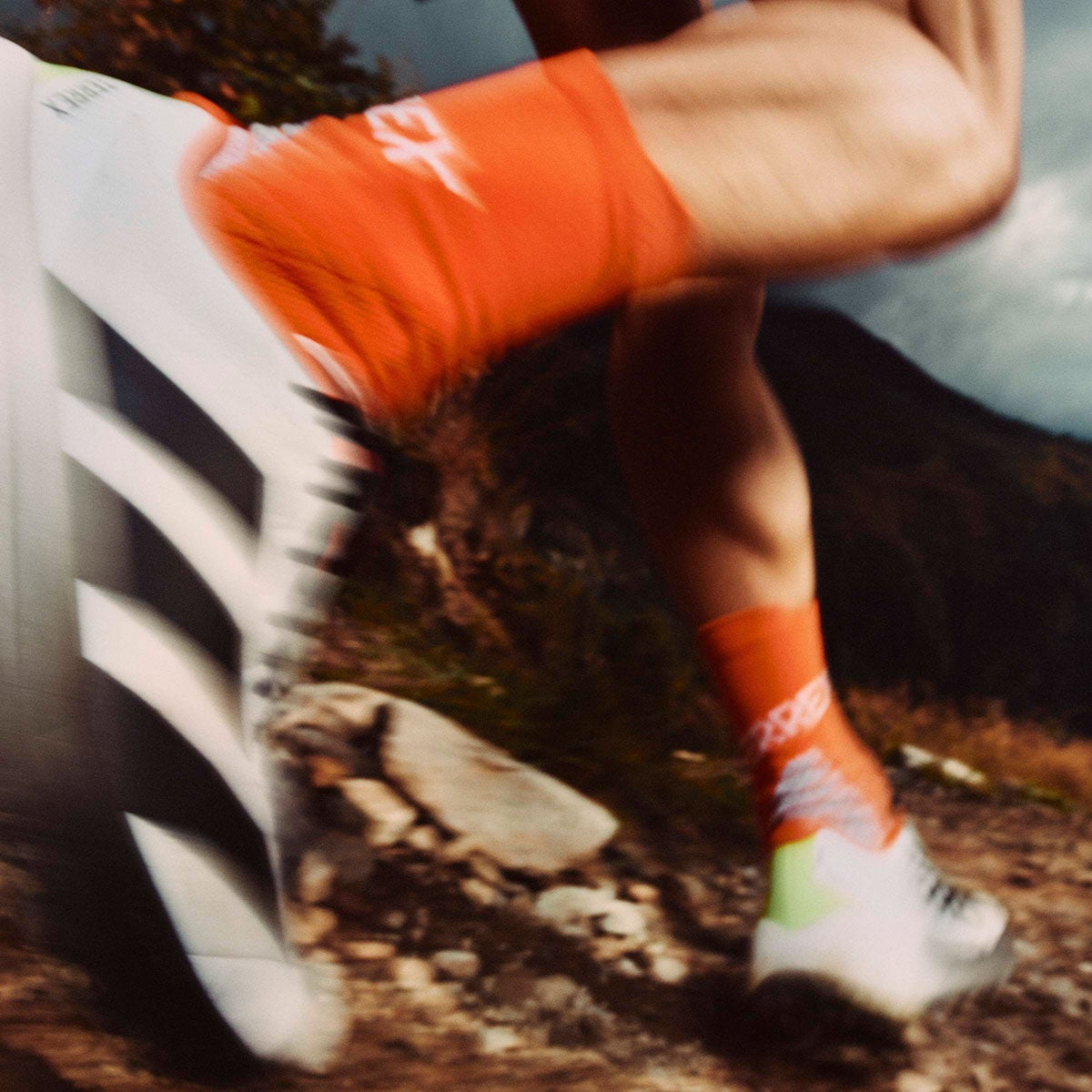 アディダス adidas アウトドア テレックス TERREX アグラヴィック 4 トレイルランニング / Terrex Agravic 4 Trail Running ホワイト KJ8872 2026年モデル 詳細19