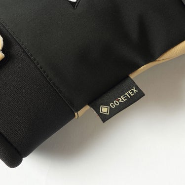 エビス eb's LIGHT MITT ライトミット ICE スキー スノーボードグローブ 2026-2027 手の甲側デザイン（防水）