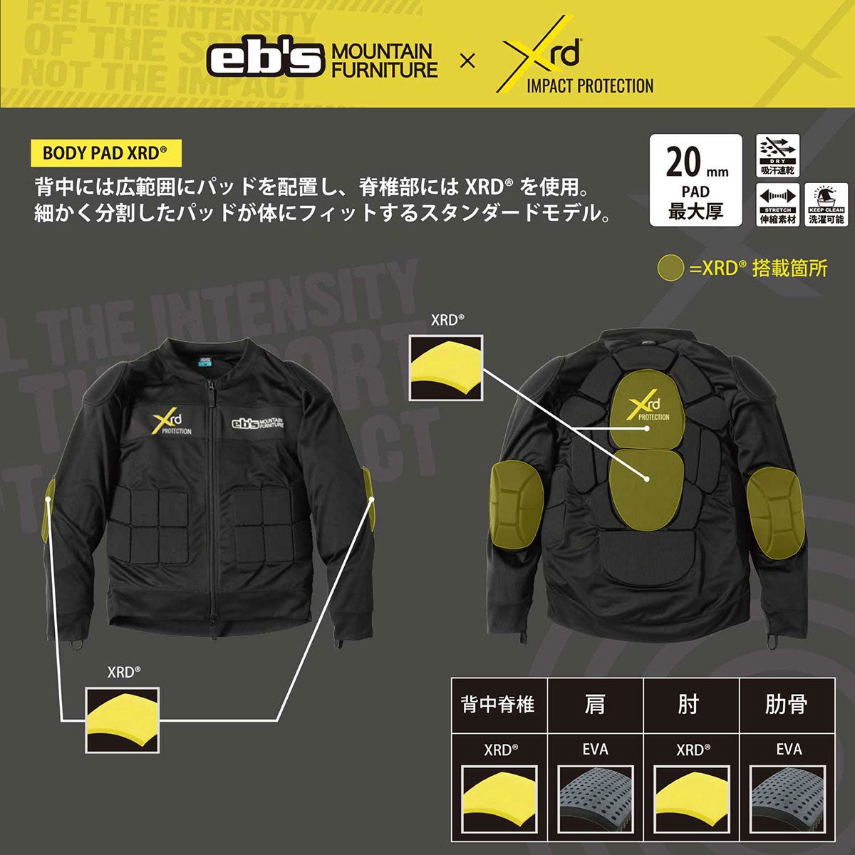 エビス eb's BODYPAD XRD ボディパッドXRD BLACK プロテクター 2026-2027 装着イメージ 画像15