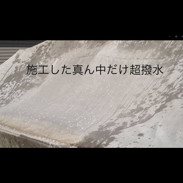 スパイン SPINE スキー用品 SPM02500 2026-2027 背面デザイン
