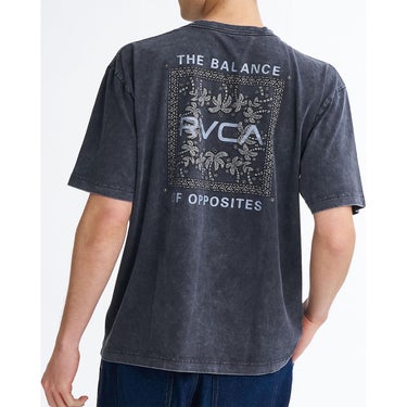 ルーカ RVCA　EXOTIC BOX TEE Tシャツ BG04A204 詳細2