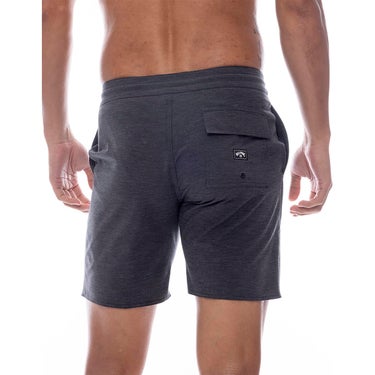 ビラボン BILLABONG　ALLDAY LT ボードショーツ BF011501 詳細2