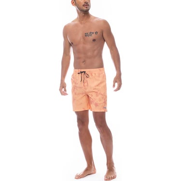 ビラボン BILLABONG　D BAH TAPED LB ボードショーツ BF011526 詳細6