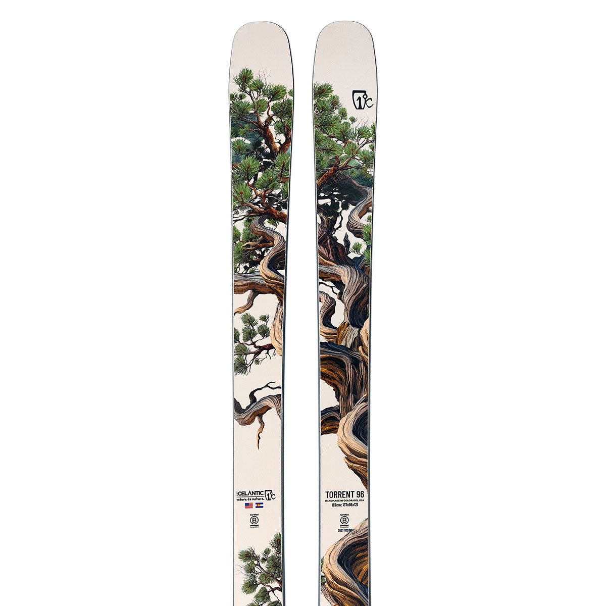 アイスランティック ICELANTIC Torrent 96 トレント 96 スキー板 単品 2026-2027 グラフィック スキー板正面