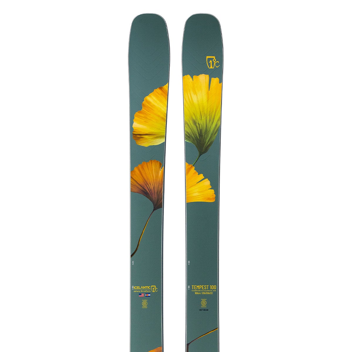 アイスランティック ICELANTIC Tempest 100 テンペスト 100 スキー板 単品 2026-2027 グリーン フラワーグラフィック スキー板トップ部正面