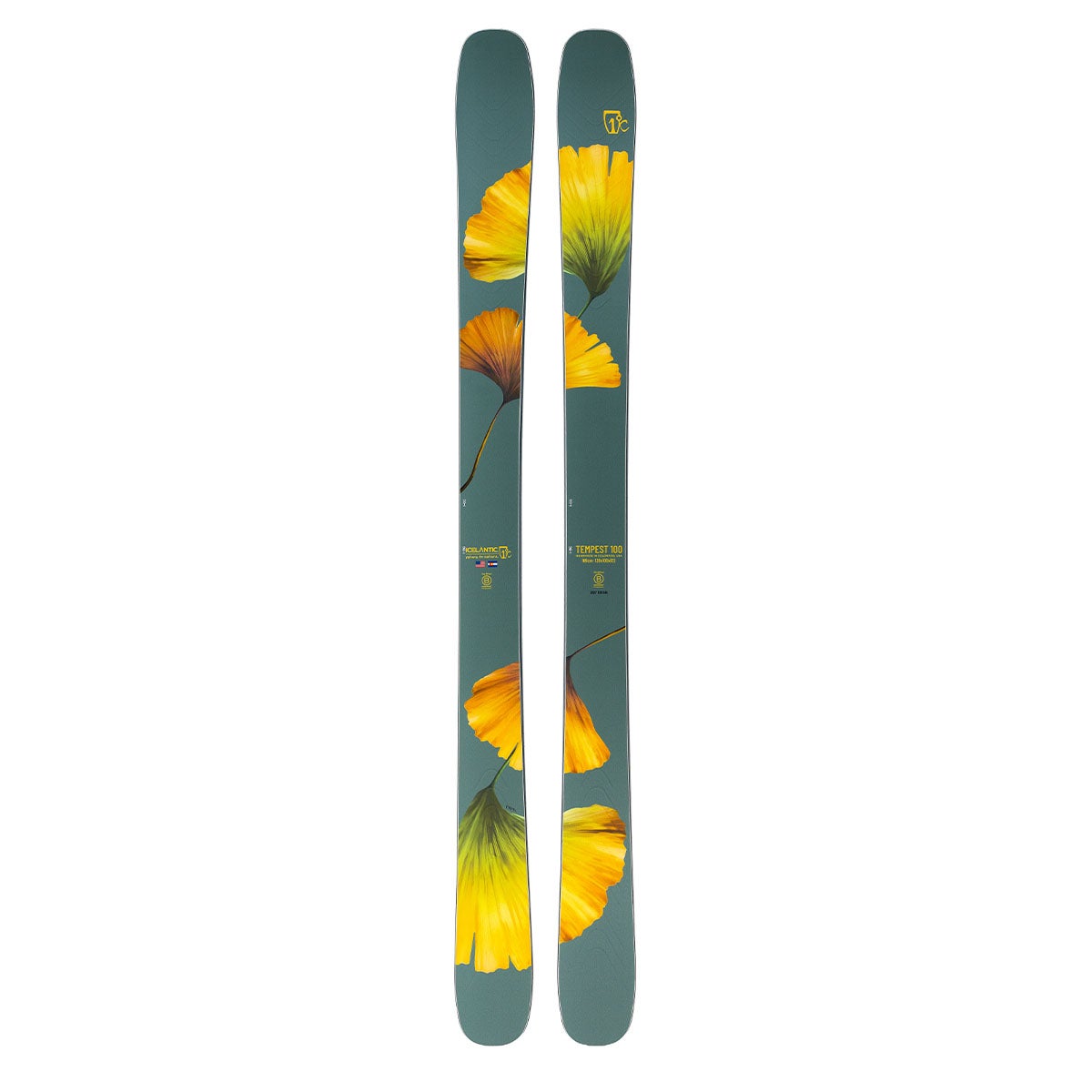 アイスランティック ICELANTIC Tempest 100 テンペスト 100 スキー板 単品 2026-2027 グリーン フラワーグラフィック スキー板全体正面