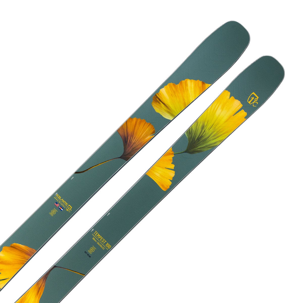 アイスランティック ICELANTIC Tempest 100 テンペスト 100 スキー板 単品 2026-2027 グリーン フラワーグラフィック スキー板斜め