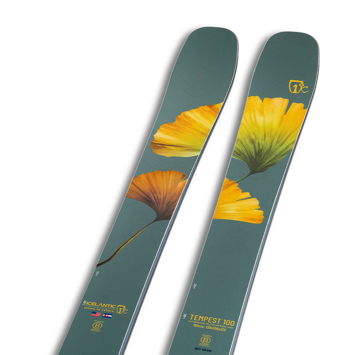 アイスランティック ICELANTIC　Tempest 100 テンペスト 100　スキー板 単品 2026-2027 スキー板 トップシート先端部アップ