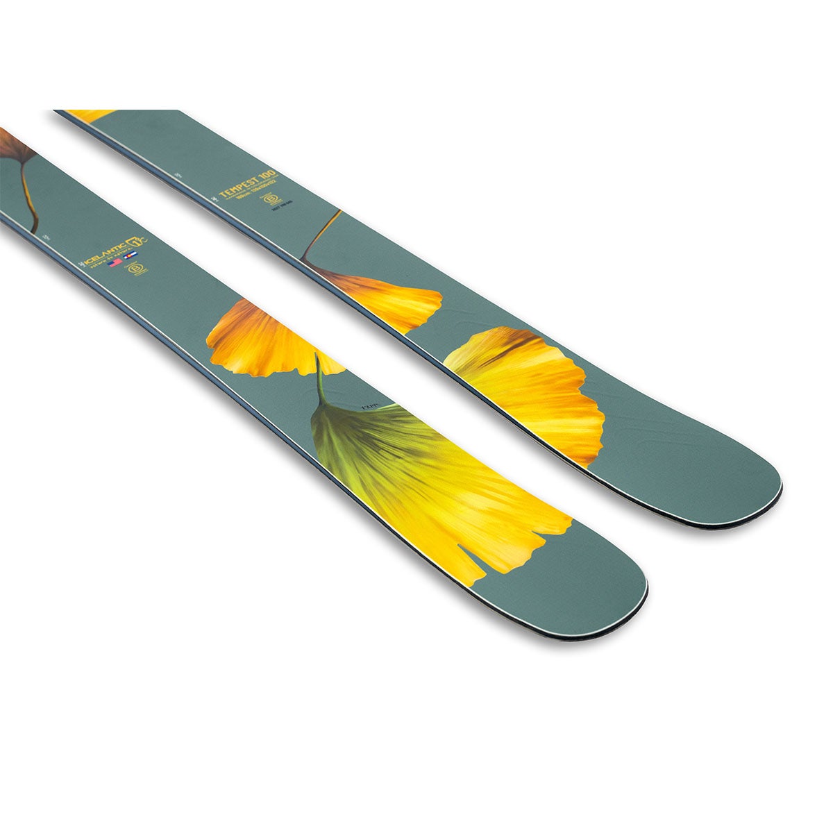 アイスランティック ICELANTIC　Tempest 100 テンペスト 100　スキー板 単品 2026-2027 スキー板 トップシート後端部斜めアップ