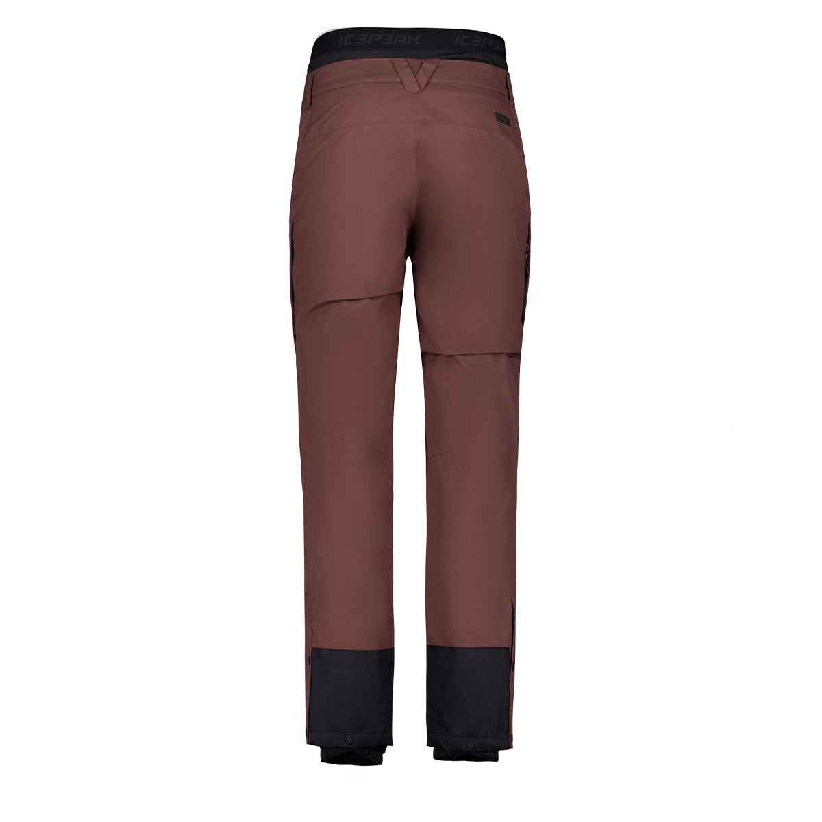 アイスピーク ICEPEAK スキー スノーボードウェア パンツ コクラン メンズ COCHRAN MEN 57143-659-185 2026-2027 ウェア 背面