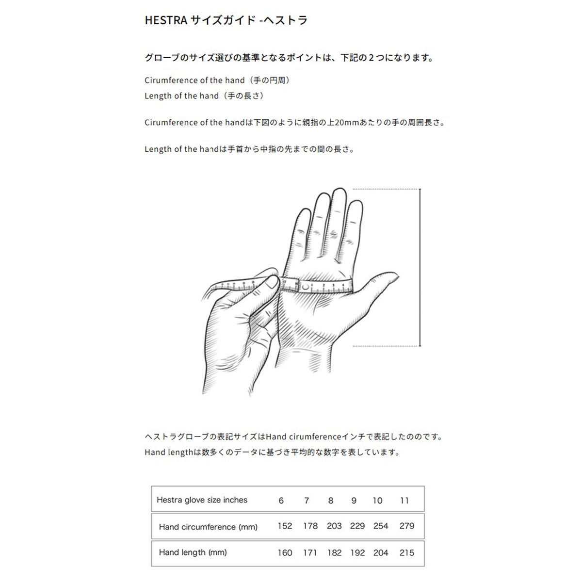 ヘストラ HESTRA　Mist Mitt ミスト ミット Beige　スキーグローブ 2026-2027 詳細2