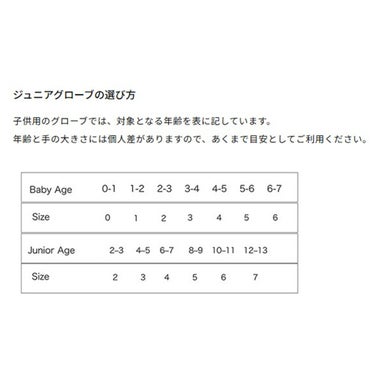 ヘストラ HESTRA　Ferox CZone Jr フェロックス シーゾーンジュニア Pink　スキーグローブ 2026-2027 詳細2