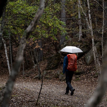 エバニュー EVERNEW 晴雨兼用 ユーエルレイブレラ U.L.Raybrella EBYR772_427 2026-2027 傘骨・内側構造