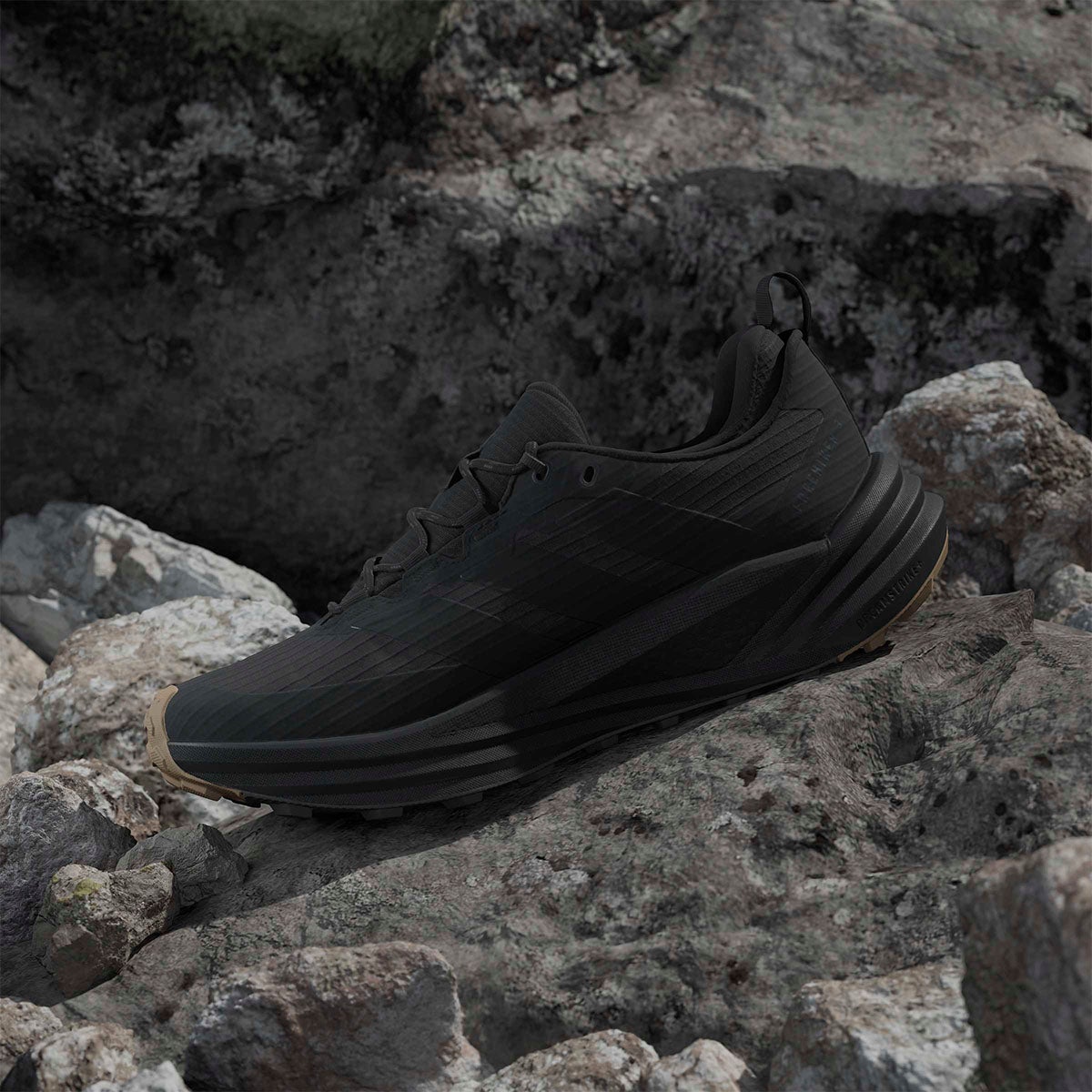 アディダス adidas テレックス フリーハイカー 2.0 ロー Gore-Tex ハイキング / TERREX FREE HIKER 3 Low GORE-TEX Hiking トレッキングシューズ ブラック HQ9292 使用イメージ