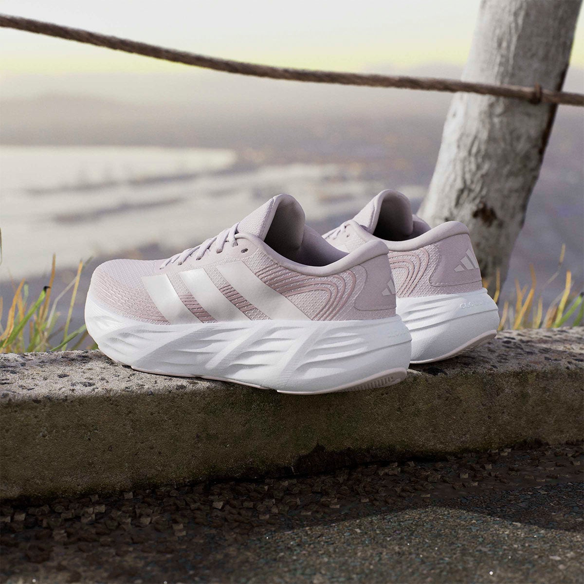 アディダス adidas GLX 8 ランニング / GALAXY 8 RUNNING ランニングシューズ パープル IH9792 使用イメージ