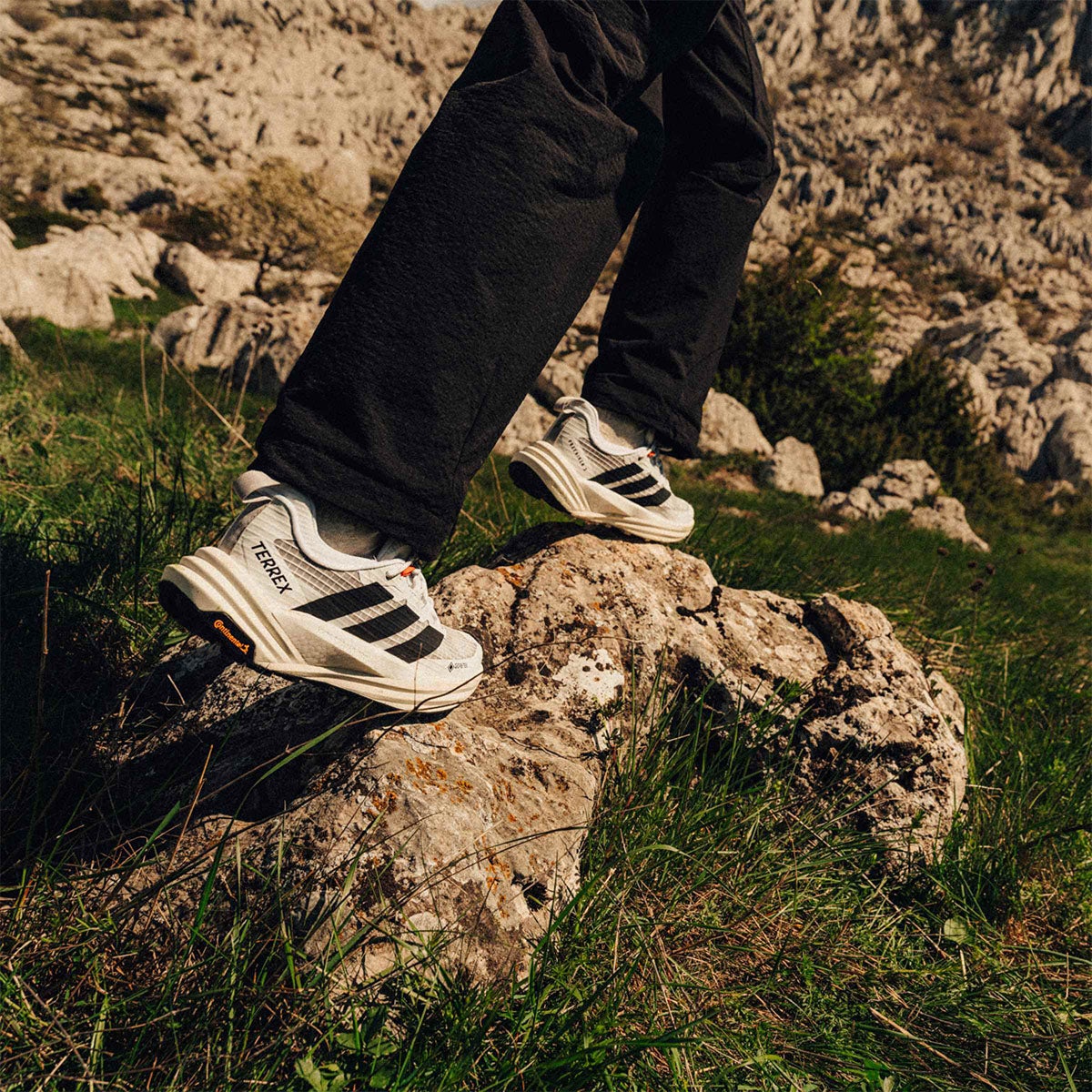 アディダス adidas テレックス フリーハイカー 3 ロー GORE-TEX ハイキング / TERREX FREEHIKER 3 LOW GORE-TEX HIKING トレッキングシューズ ホワイト KI8275 使用イメージ