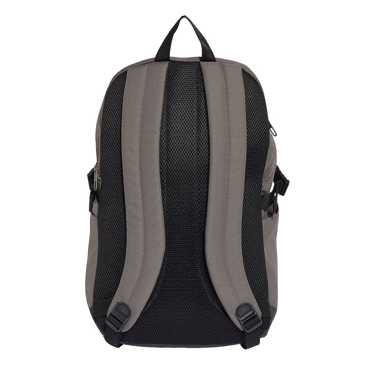 アディダス adidas アディダス APWR バックパック パープル QY723 KQ6788 背面