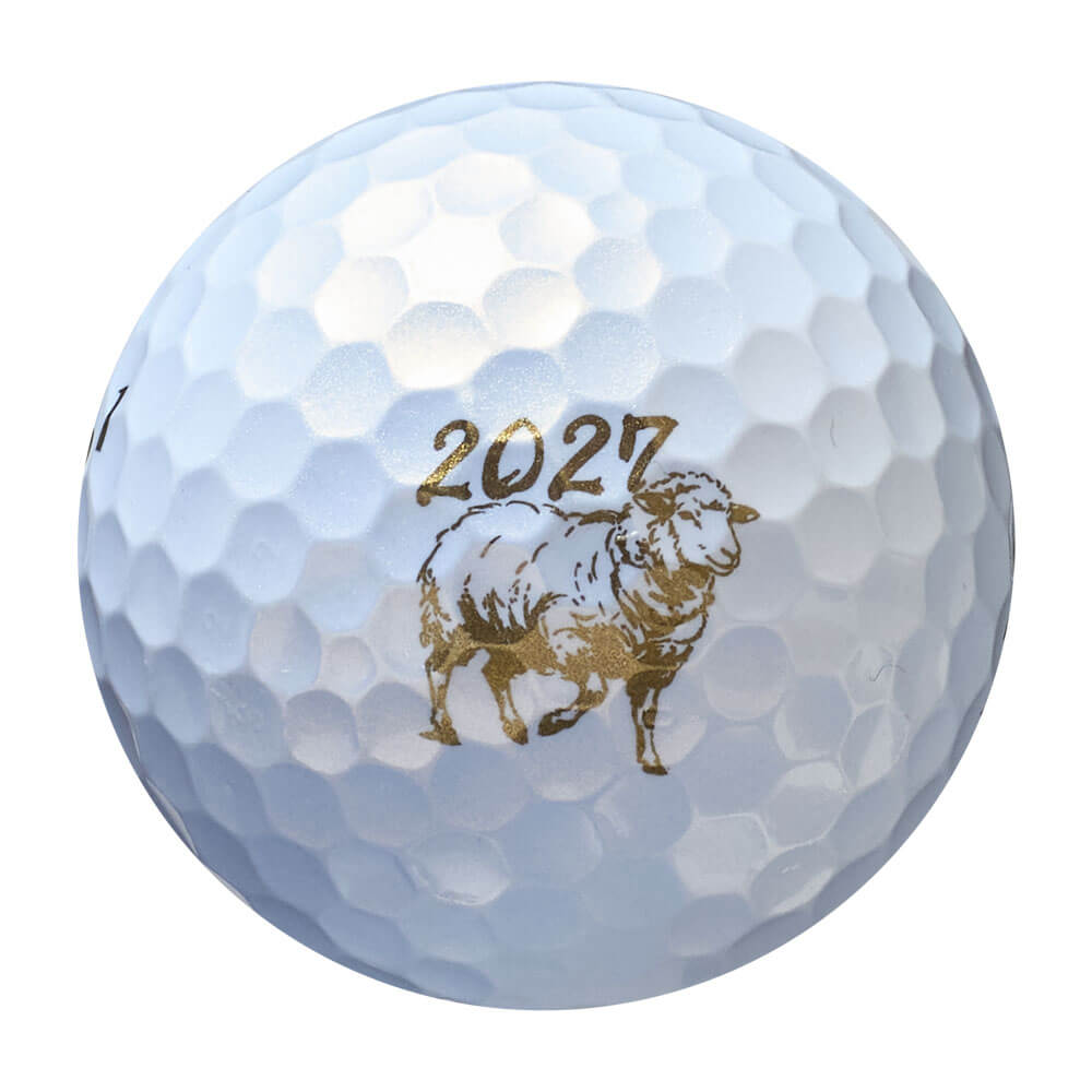 ブリヂストン TOUR B JGR 2027年 干支 ゴルフボール 午 1ダース（12球入り） ボール ロゴ