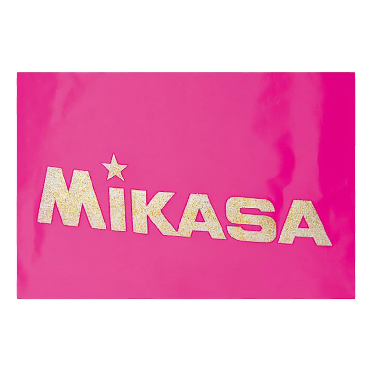 ミカサ MIKASA レジャーバック BA22 ムラサキ（V） ショルダーバッグ バッグ 商品外観