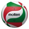 モルテン molten　鈴入りボール 5号球 V5M9050 白×赤×緑　 白×赤×緑